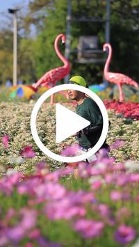 BIB:  <button type="button" onclick="openModal(27588575)" class="btn btn-primary btn-sm float-right" data-toggle="modal" data-target=".modal-high-quality">
                <i class="fa fa-download"></i> Download
                </button>